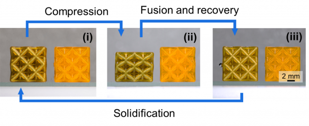 PμSL 3D列印液態金屬-高分子點陣力學超材料良好的形狀記憶效應