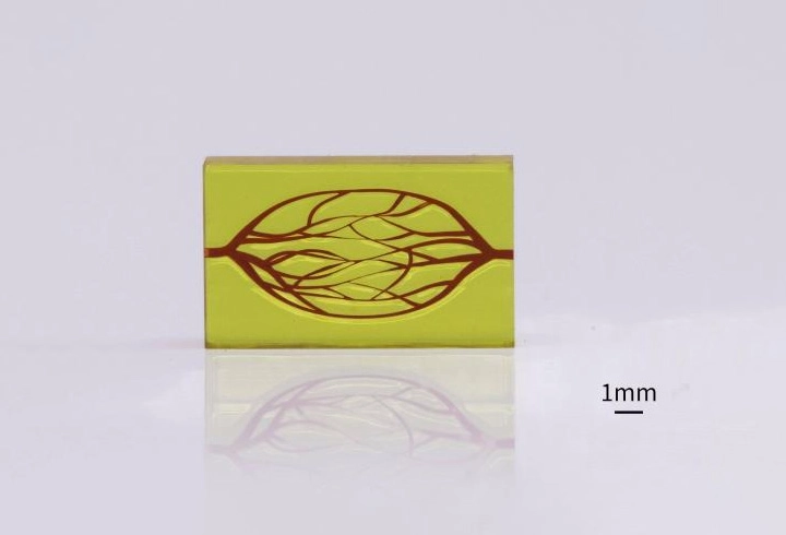 microCube T10－微米3D列印機 : 微流控晶片